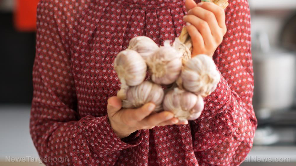 How to grow gorgeous garlic from a clove indoors and out