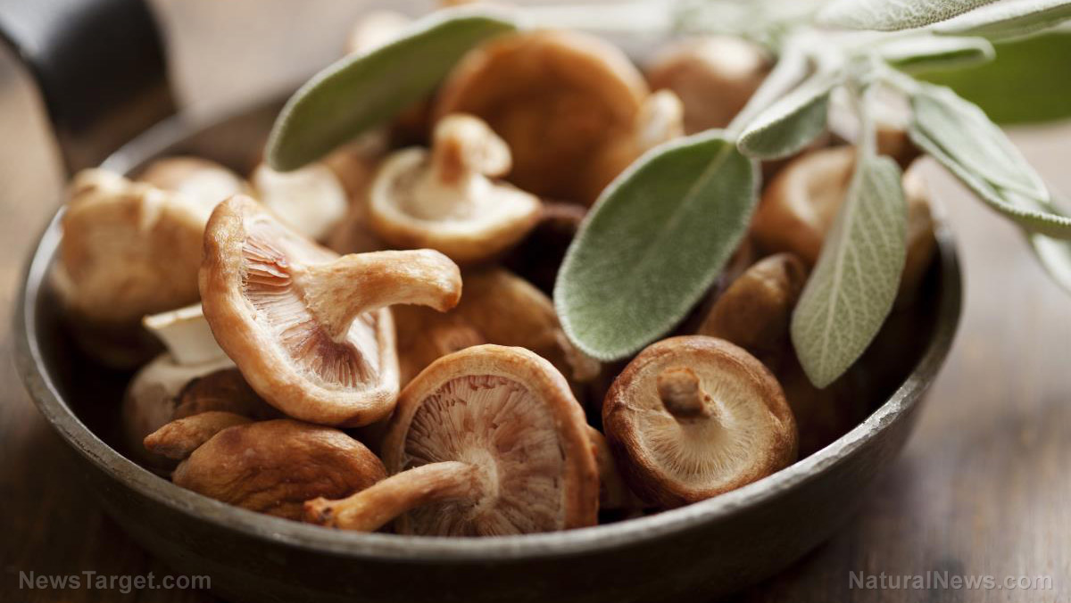 Top 7 benefits of mushrooms for your health (recipes included)