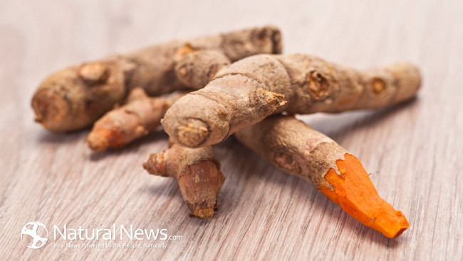 How to plant, grow and harvest turmeric, a powerful superfood