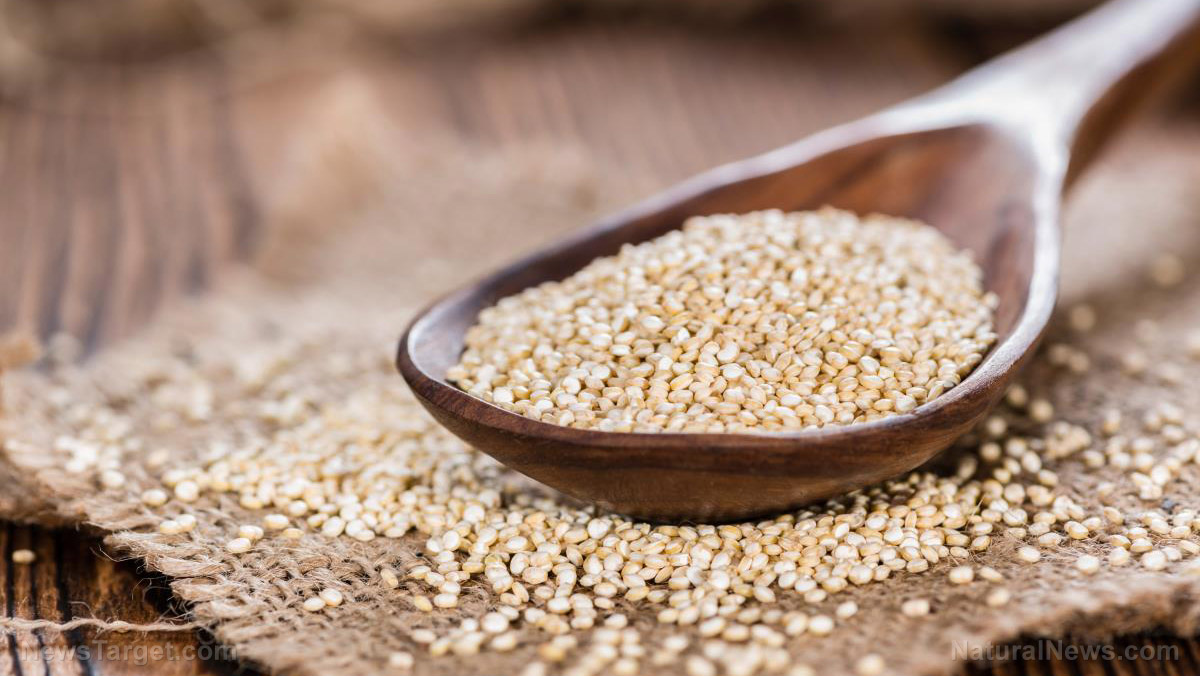 How to make nutrient-dense quinoa flour (recipes included)