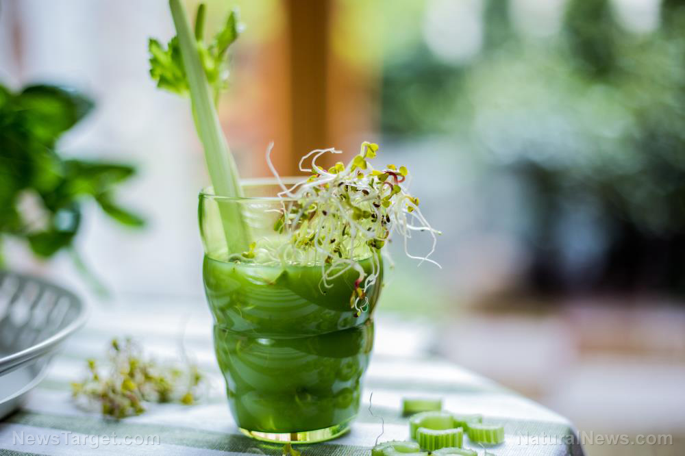 Easy recipe for nutritious, hydrating celery juice