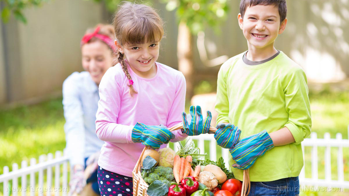 Variety is key to get your children to eat more vegetables