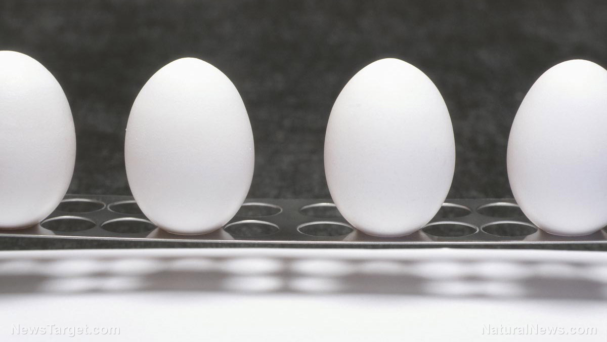 An egg a day supports babies’ growth and development
