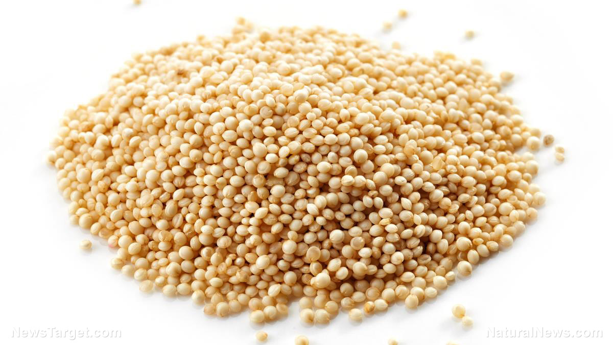 How to cook and grow amaranth, a superfood and nutrient powerhouse