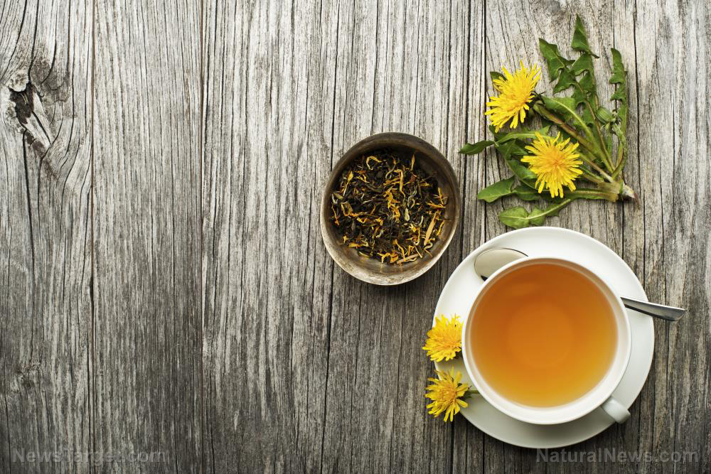 How to detox with dandelion root, a potent herbal medicine
