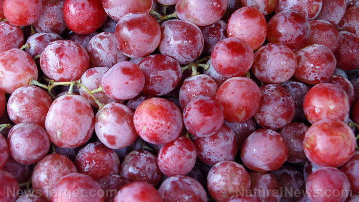 Grape compounds kill cancer cells without harming healthy cells