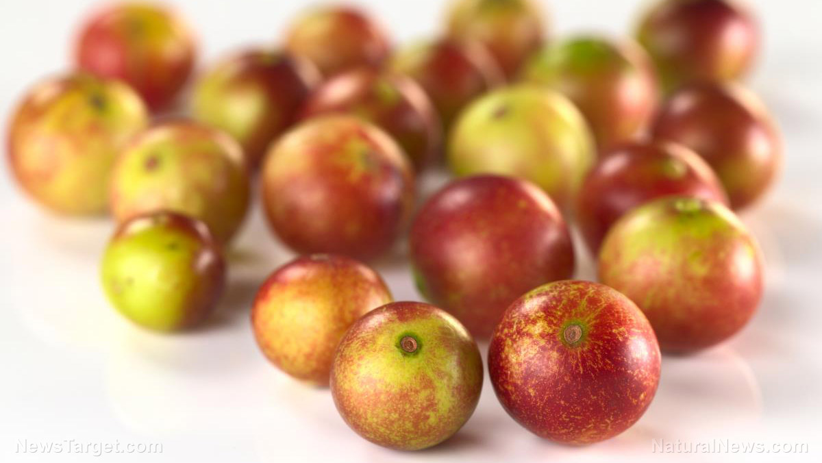 10 Good reasons to add camu camu to your diet