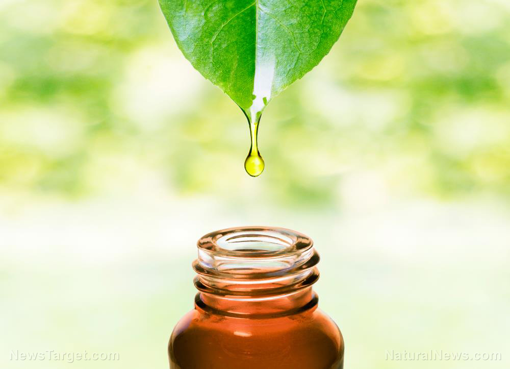 Minty fresh: 10 Impressive health benefits of spearmint essential oil
