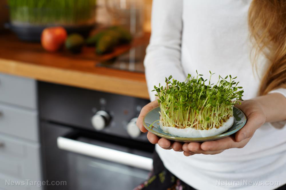 Grow nutritious microgreens for better overall health