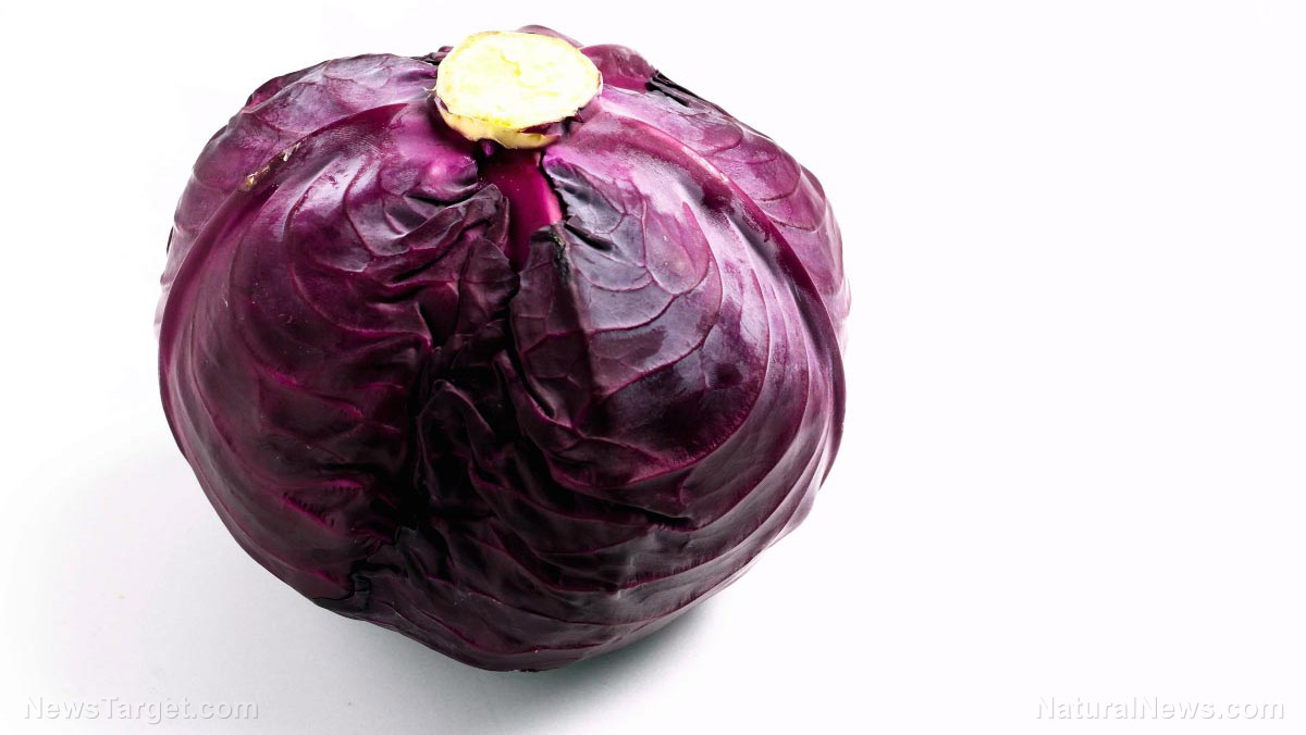 6 Benefits of red cabbage, a versatile veggie (recipe included)