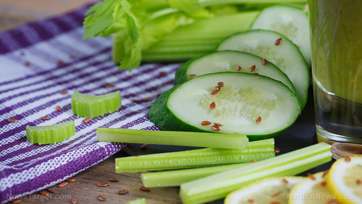 Compound in cucumber found to improve memory and prevent Alzheimer’s disease