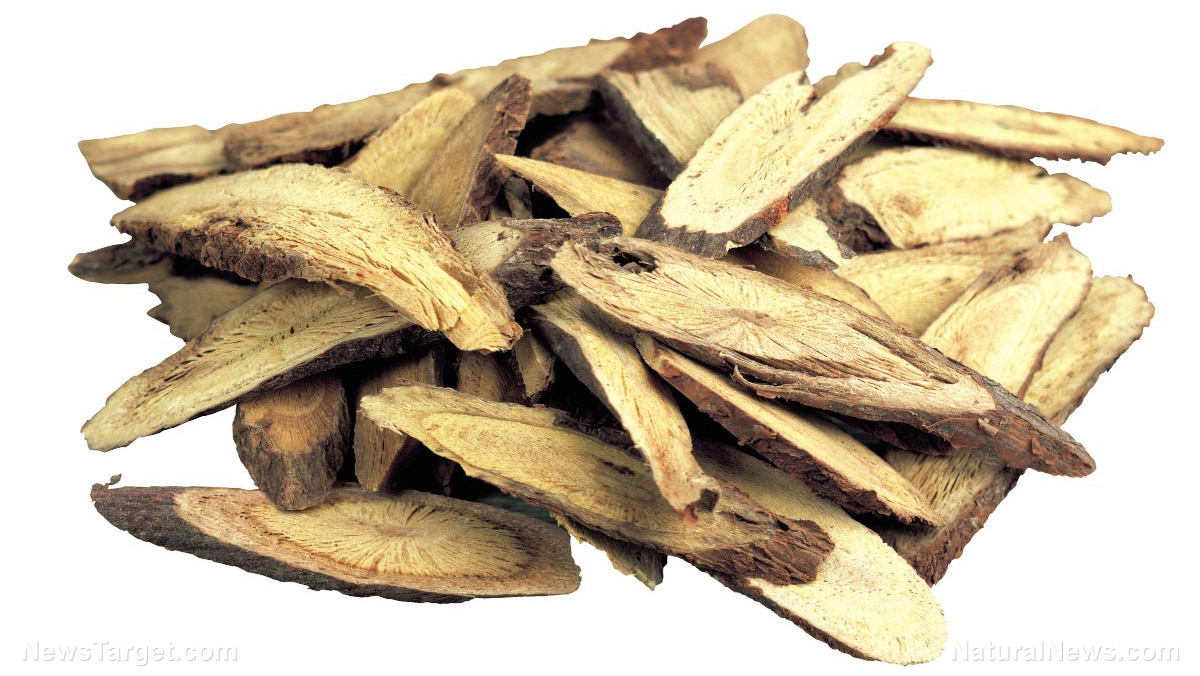 Maintain good oral health with licorice root (plus licorice root tea recipe)