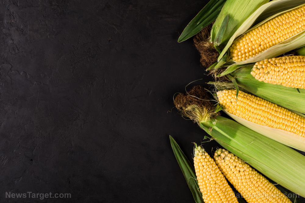Unusual superfoods: Health benefits of corn silk (recipes included)