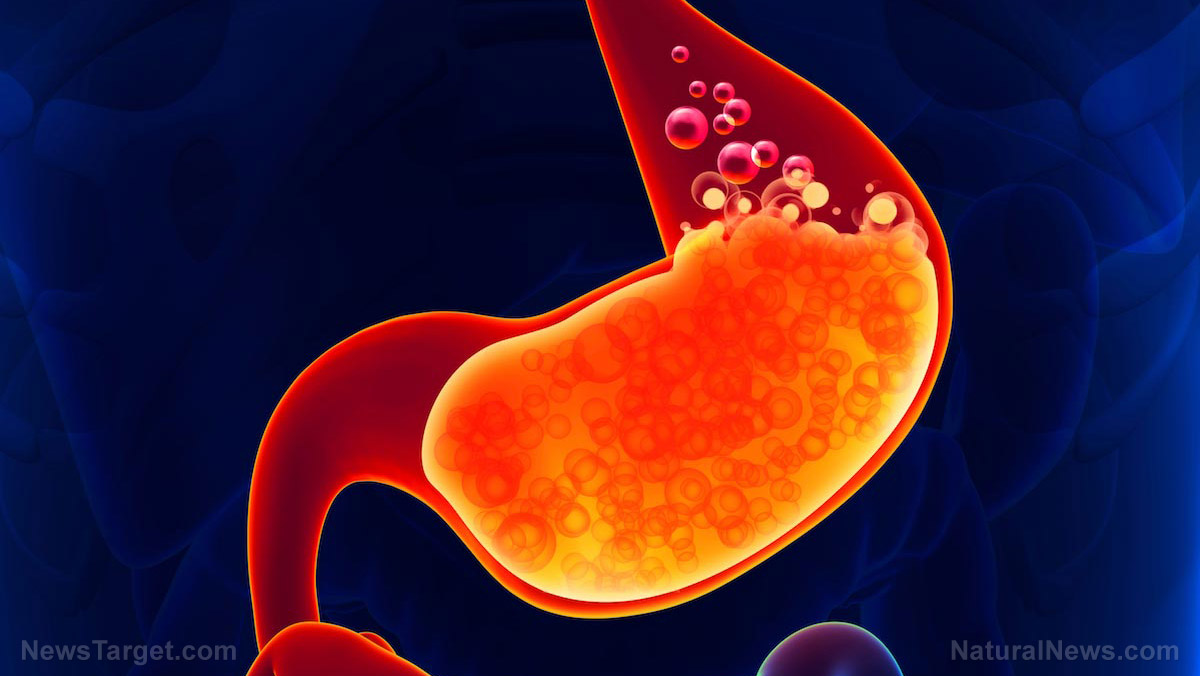 Chronic inflammation, a factor in many age-related diseases, is caused by an imbalance in the gut