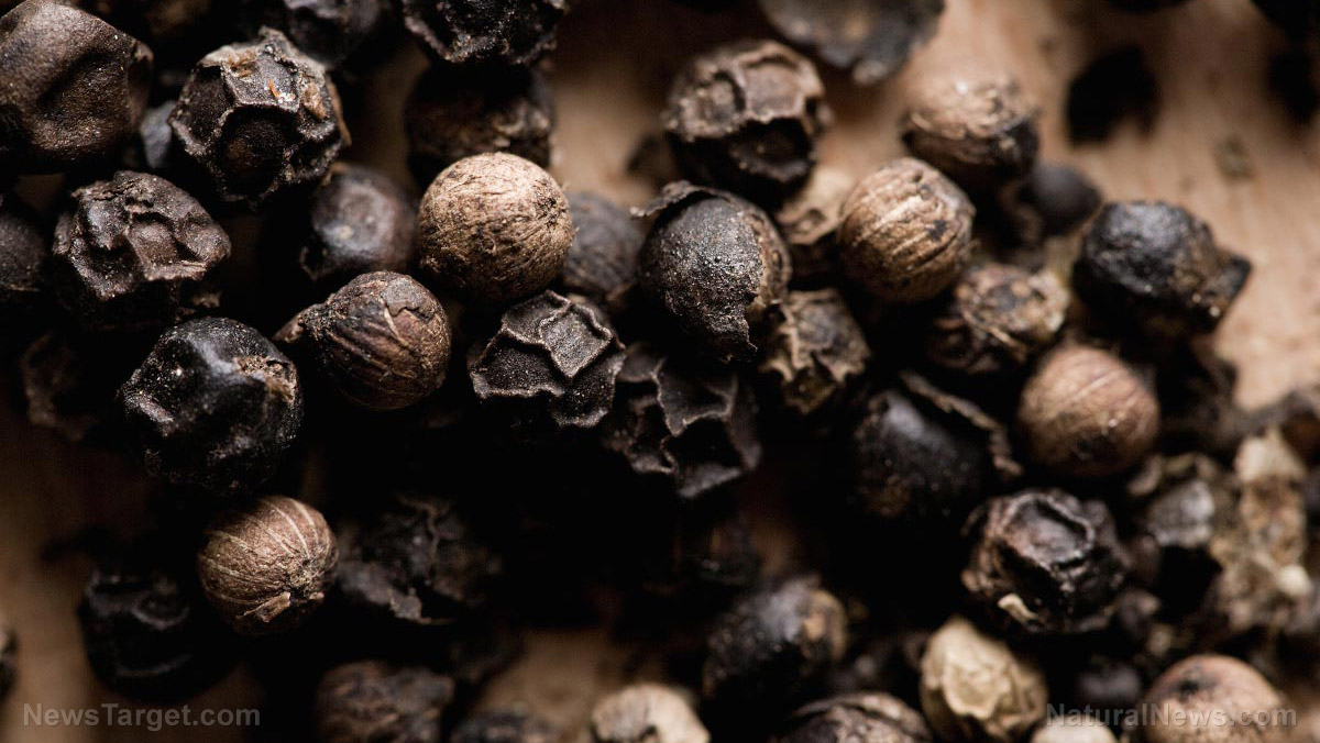 Black pepper could help fight obesity: Research shows it lowers body fat and blood sugar