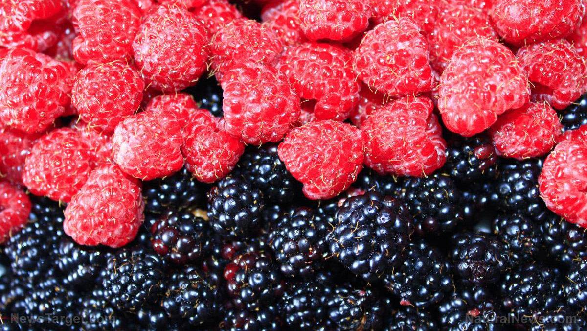 Black raspberries found to improve heart health in patients with metabolic syndrome