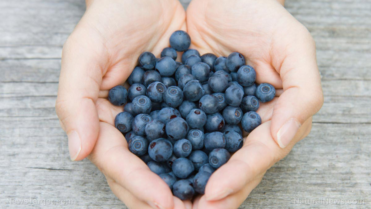 Fight rheumatoid arthritis with superfoods like blueberries, ginger and olive oil