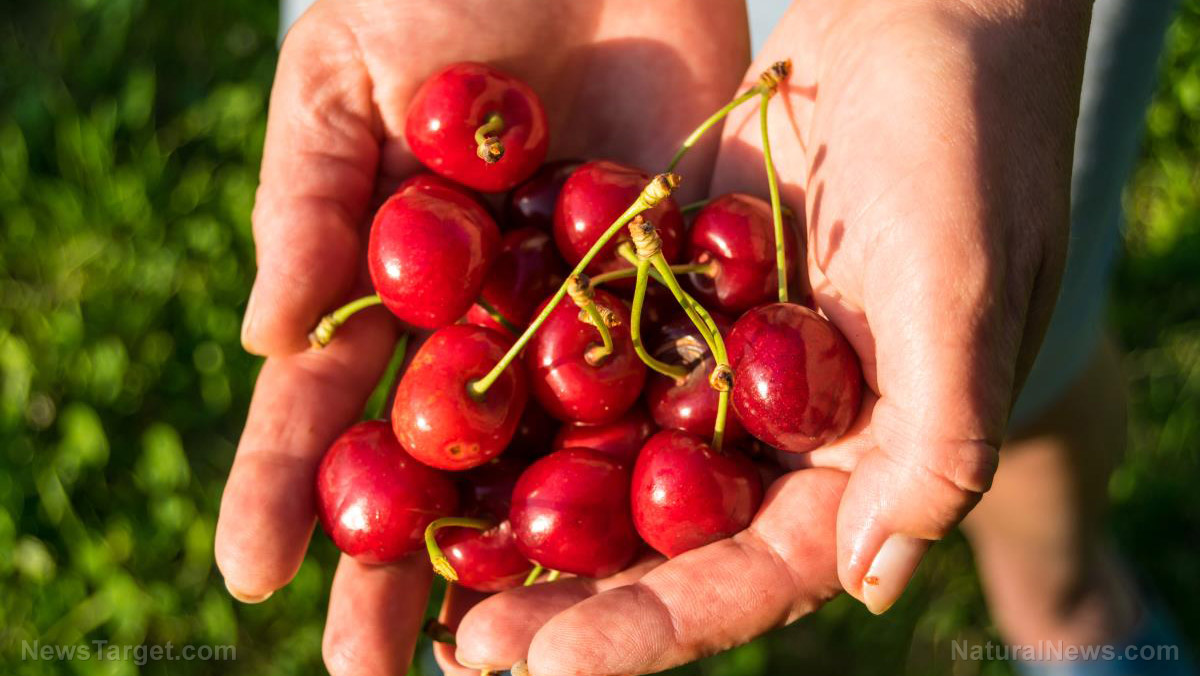 How often do you eat cherries? 7 Reasons to eat more