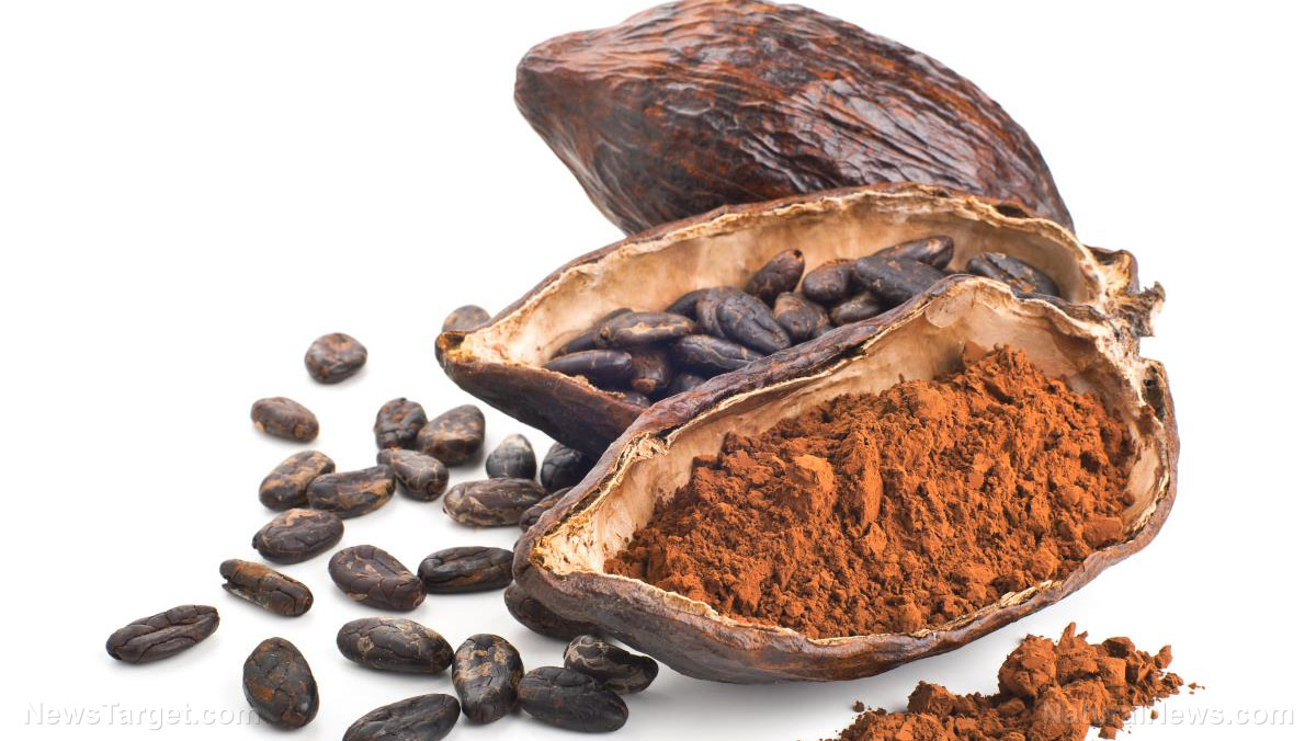 Researchers find that cocoa flavonoids can help improve mobility and quality of life for the elderly