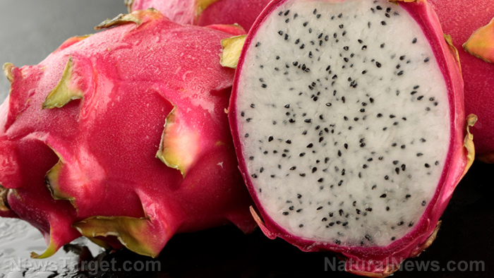 Researchers discover the digestive benefits of dragon fruit powder