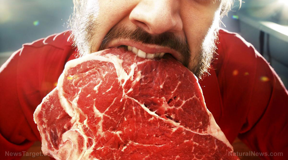 The link between red meat consumption and insulin resistance
