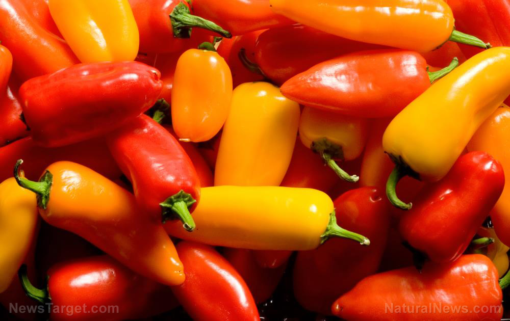 Compound in non-pungent peppers found to protect the liver, improve blood sugar, and reduce weight gain