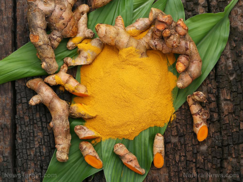 Provide the best possible environment for your genes: Eat more turmeric