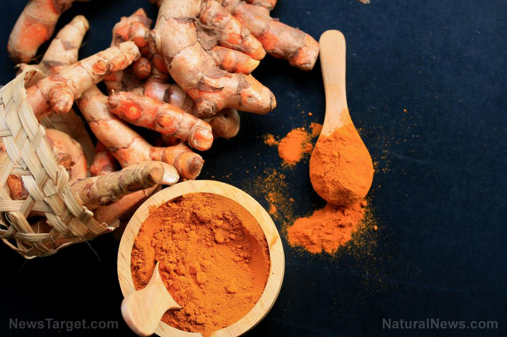 Curcumin shows tremendous promise in curing Alzheimer’s disease