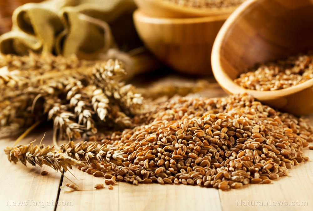 Why wheat should be part of every diabetic’s diet