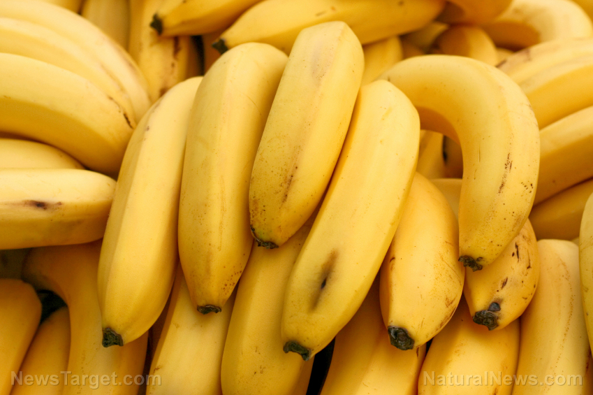 Wild banana demonstrates significant potential as natural diabetes cure