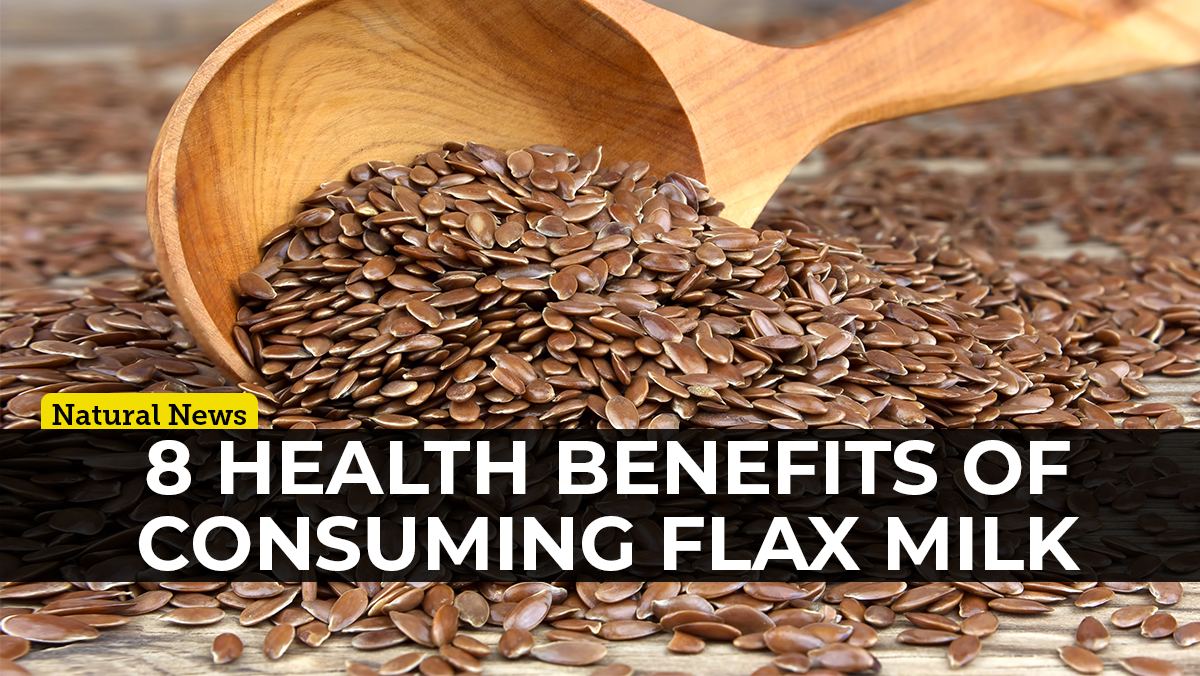 Flax milk is the underrated non-dairy milk alternative you should be adding to your diet