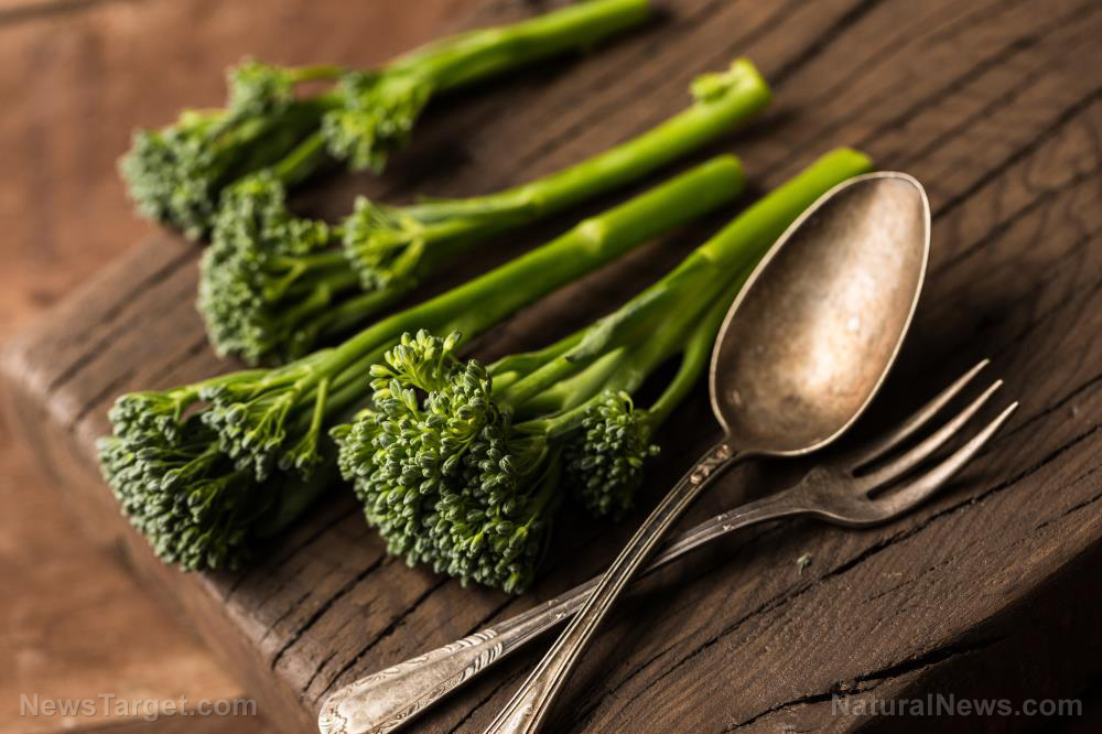 Eating broccoli found to help with brain and nerve repair