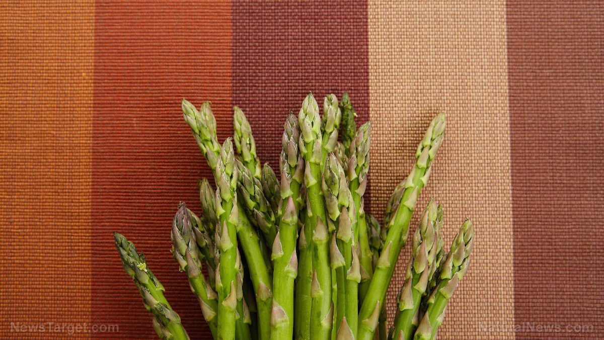 Look younger with Chinese asparagus – it prevents aging by reducing the amount of free radicals in your body