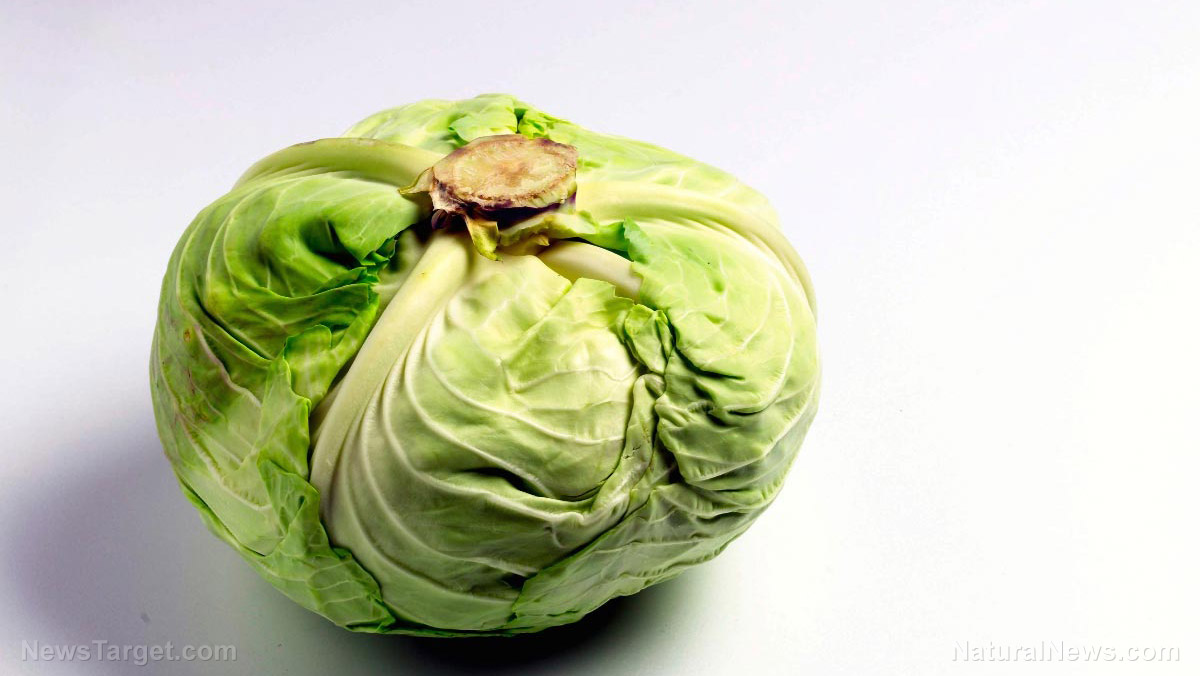 Shortage Down Under: Aussie KFC fast food chains now substituting CABBAGE for lettuce