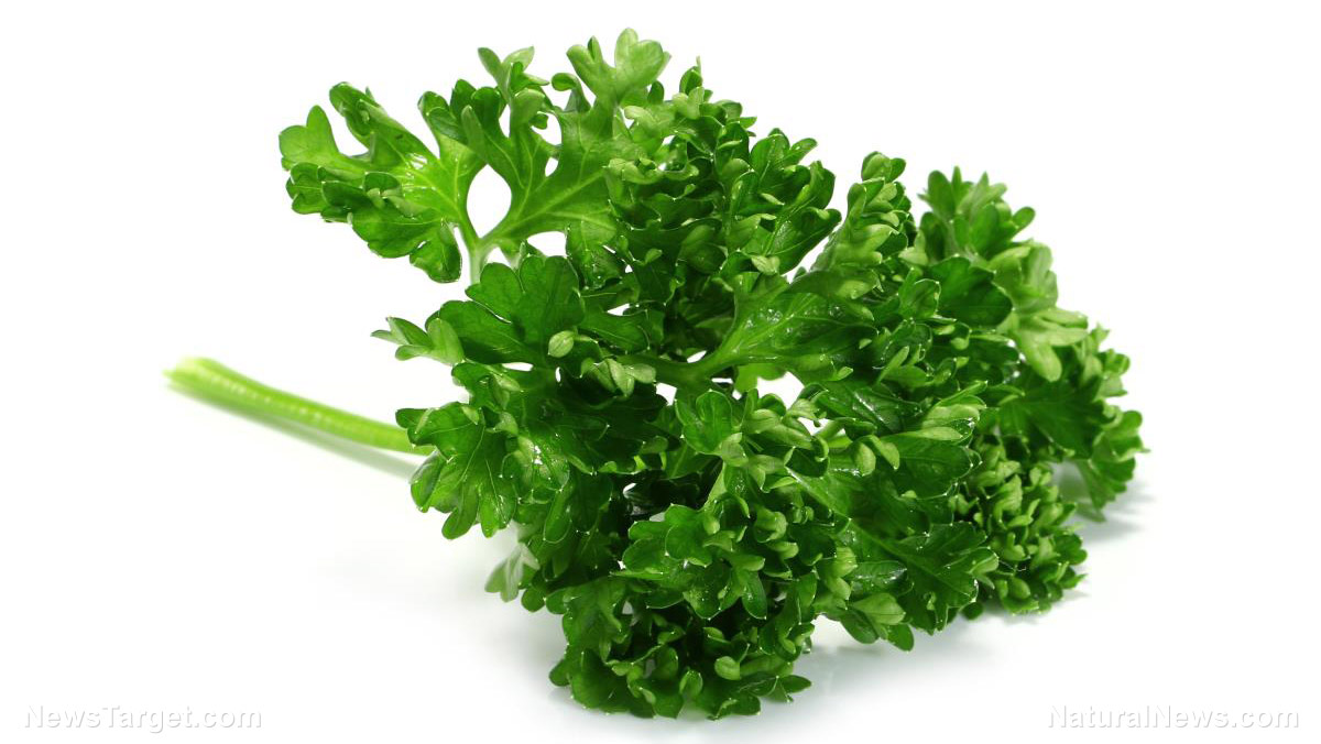 Study shows apigenin, a compound in parsley, offers cancer-fighting benefits