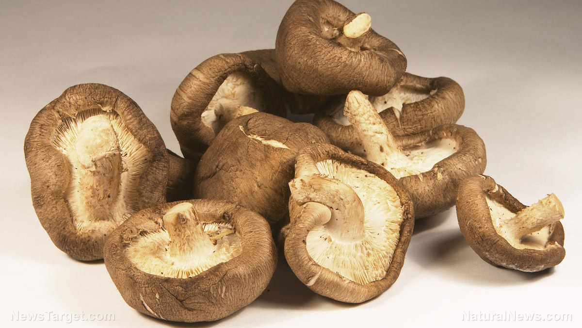 Mushrooms found to be a potent source of key antioxidants