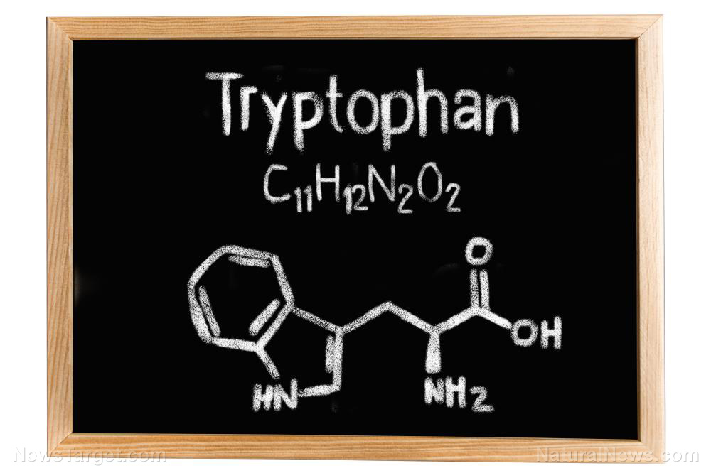 Do you have enough tryptophan in your diet?
