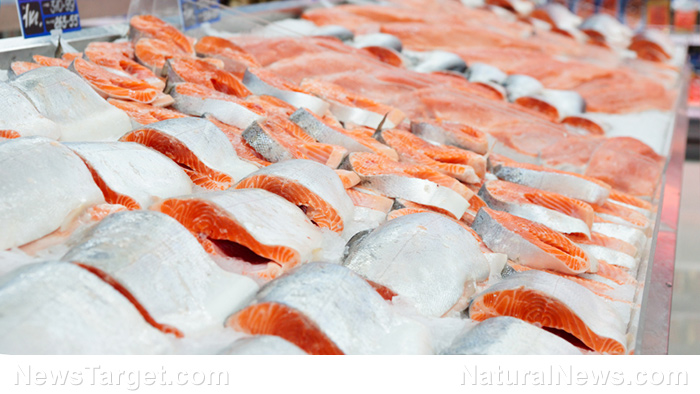 Farmed salmon as toxic as junk food and may cause diabetes and obesity, researchers claim