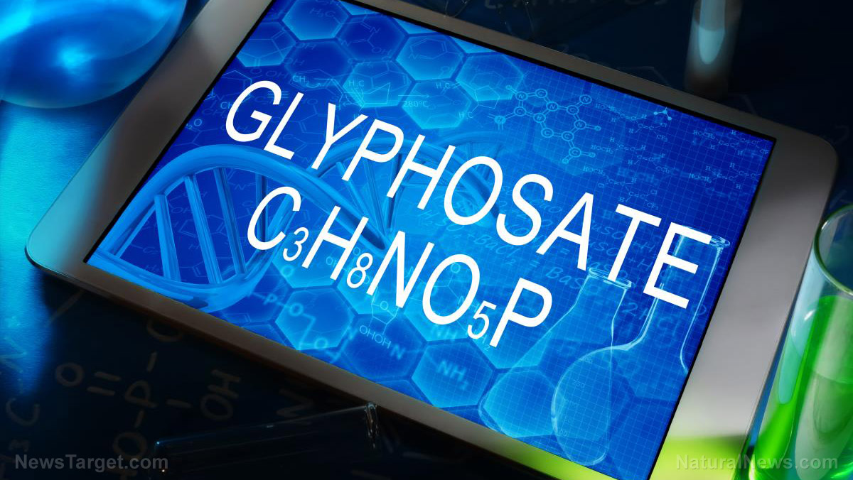 Study: Glyphosate is present in both organic and genetically modified foods