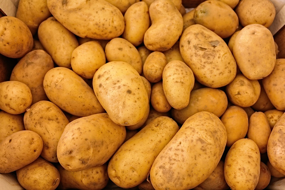Potato prices surge as Idaho crop yields drop due to heatwave