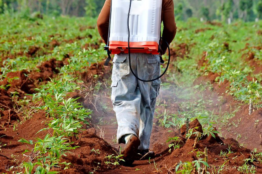 First FOOD goes, then the ECONOMY: Radical changes in the agriculture sector compounded by pandemic tyranny responsible for Sri Lanka’s demise