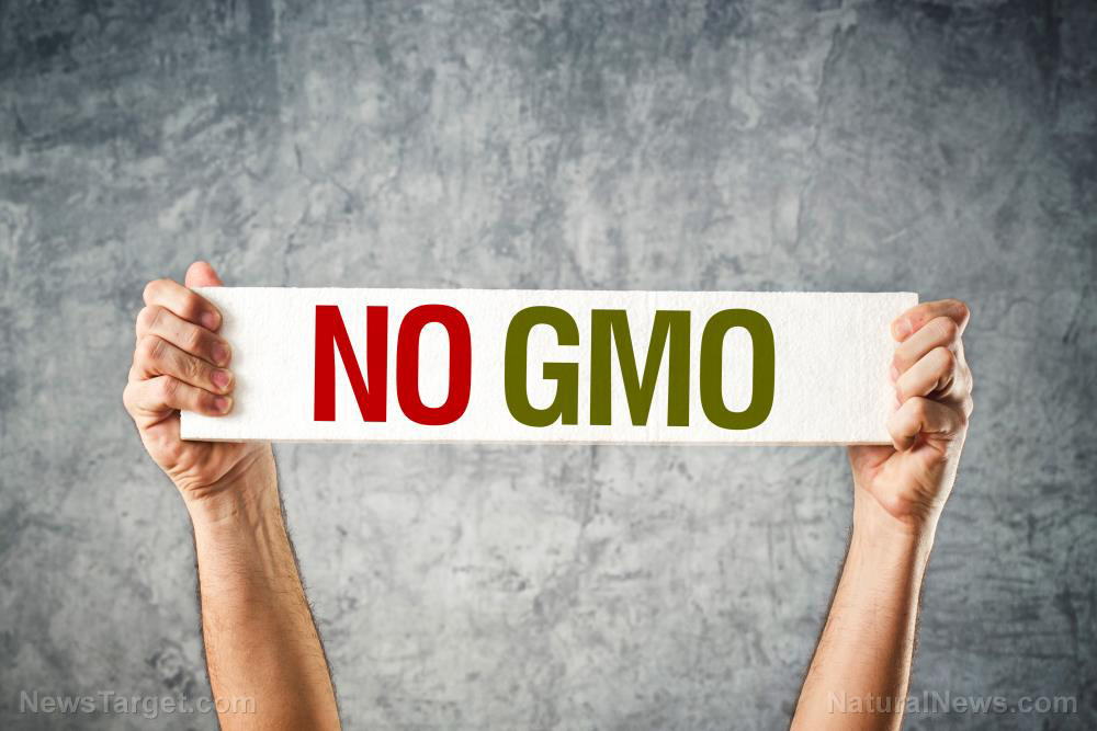 Bill Gates, WEF promoting dangerous GMO foods and fake foods