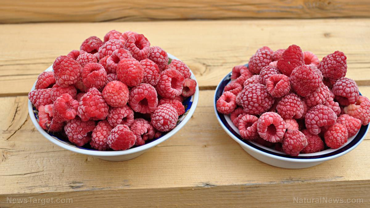 Prepper medicine: How to use red raspberry, a medicinal plant full of vitamins