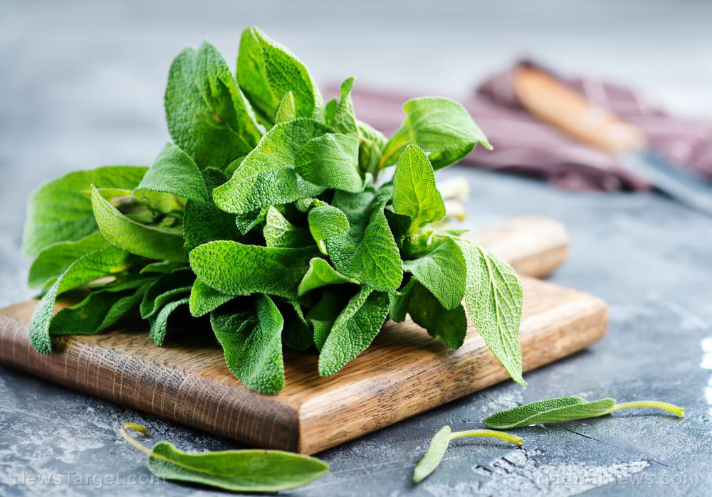 Prepper medicine: How to use sage, a versatile healing herb