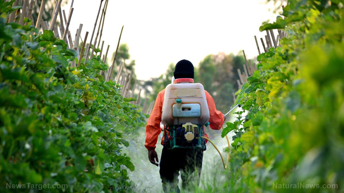 Consumer beware: Study reveals toxic “forever chemicals” in pesticides are entering the food supply