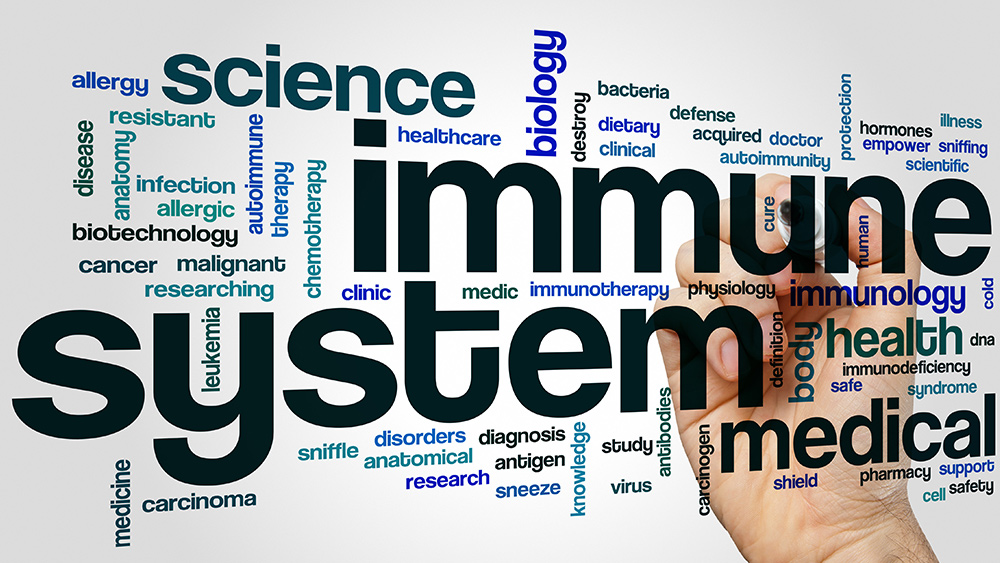 Immunologist Dr. Jenna Macciochi: The immune system is your greatest health asset