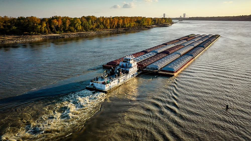 Food supply woes persist: Grain shippers delay deliveries amid barge quagmire