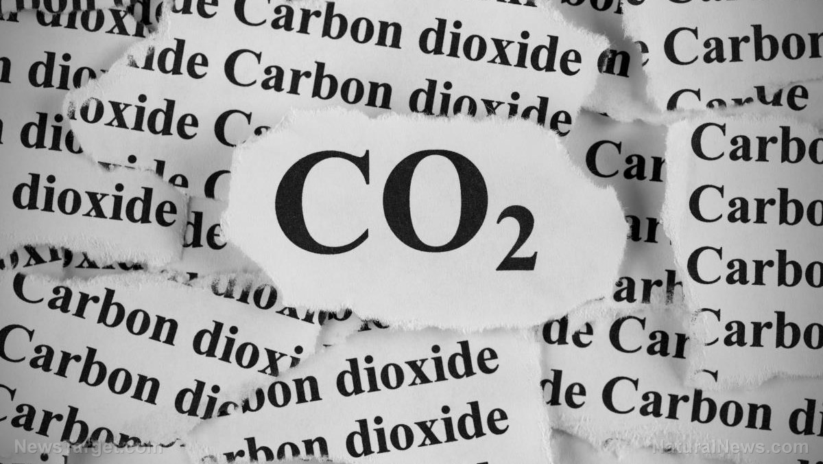 Carbon dioxide is the elixir of life, let’s celebrate it not demonise it