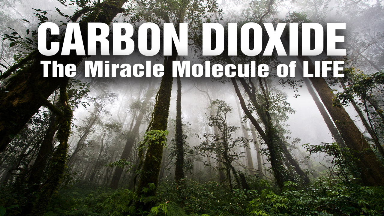 Carbon dioxide isn’t a “pollutant” causing global warming, it’s the elixir of life itself