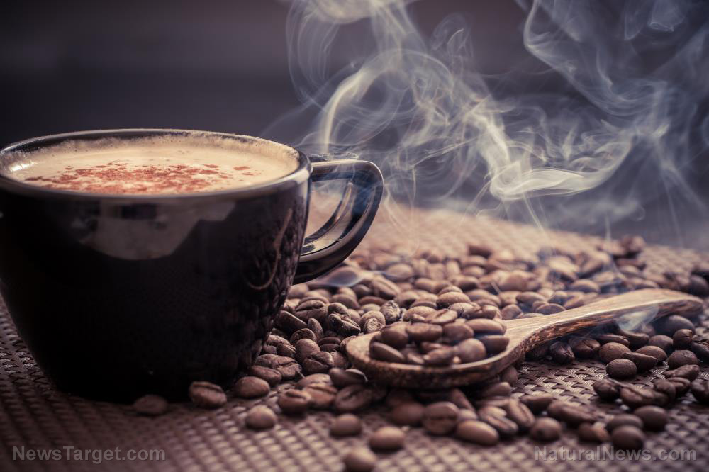 A cup of joe and gut health: Is coffee bad for the probiotics in your gut?
